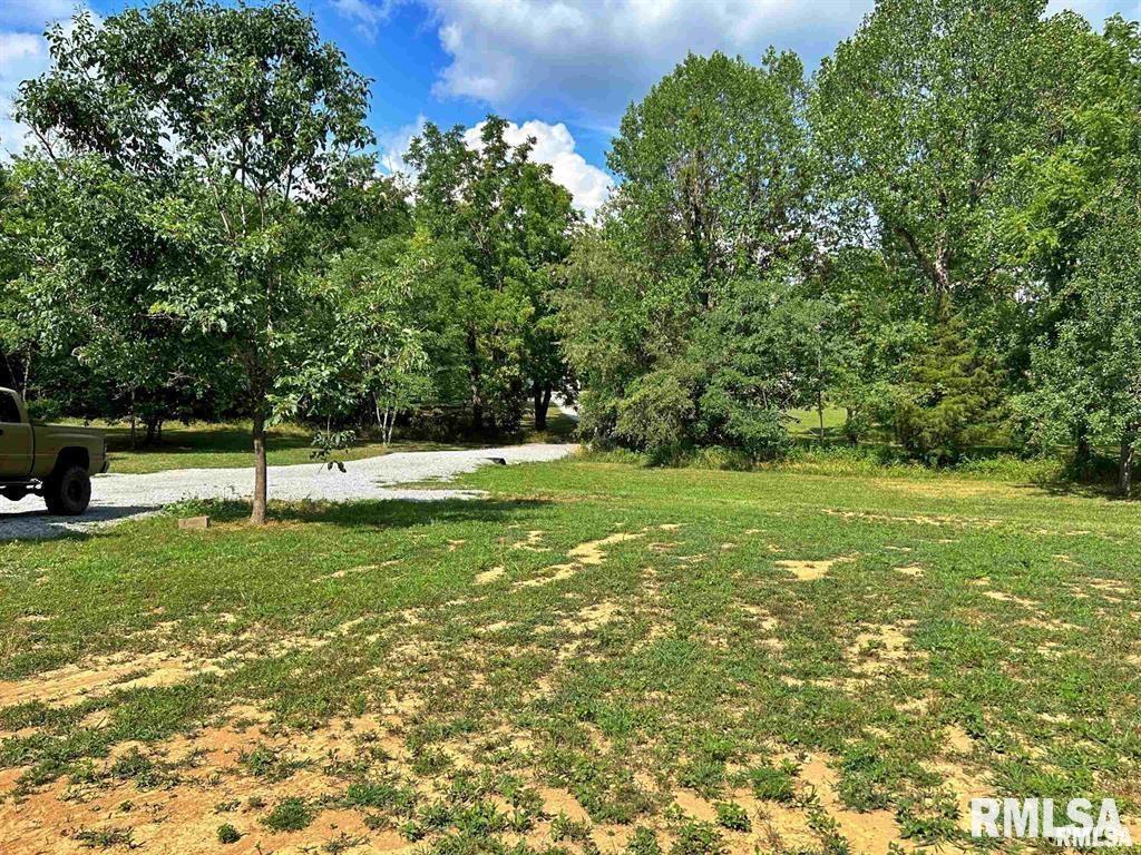 40 Presley Loop Golconda, IL 62938 - Photo 37 of 40 a view of a park with a tree