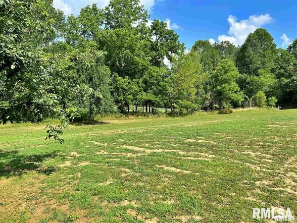 a view of a field with an tree
