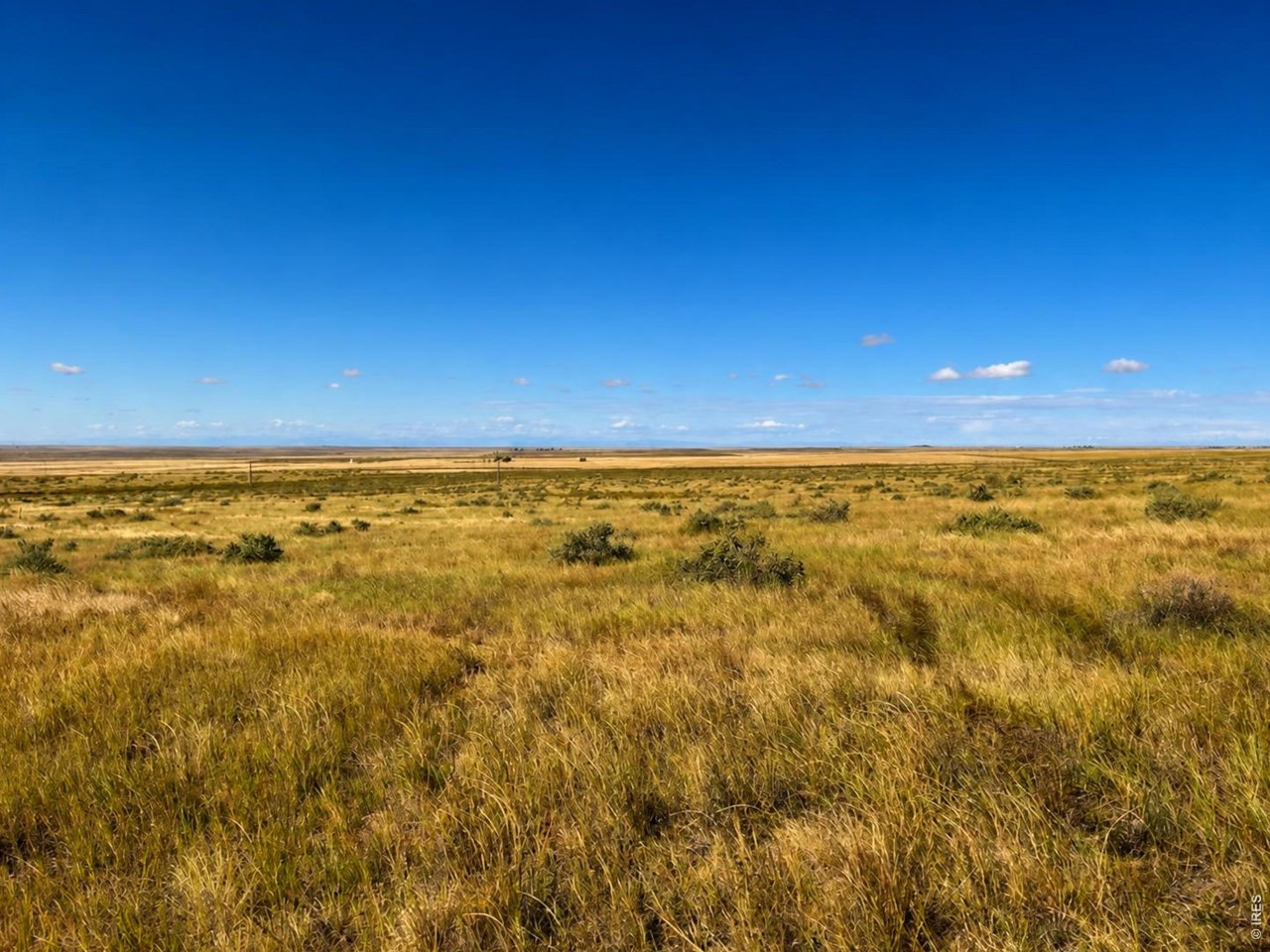 80 County Road Briggsdale, CO 80611 - Photo 6 of 6