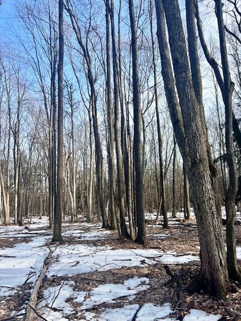 0 West Adams Road Hesperia, MI 49421 - Photo 59 of 74