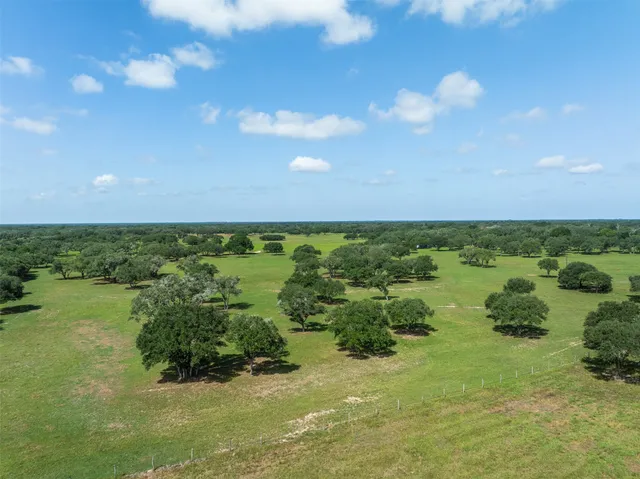 a view of a green field with lots of trees