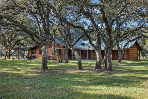 a view of a trees in a yard with trees