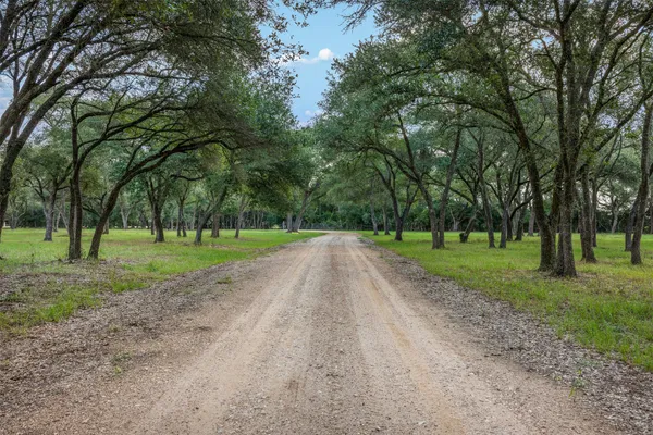 a view of a park with trees