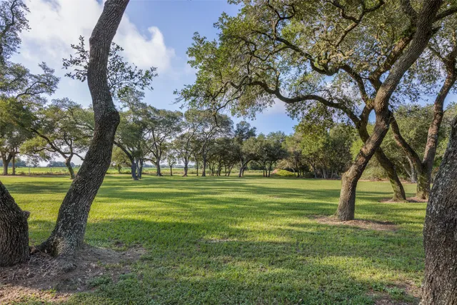 a view of a park with large trees