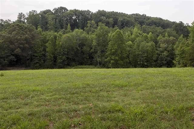 Lot 3 Walnut Grove Church Road Dayton, TN 37321 - Photo 2 of 5 1