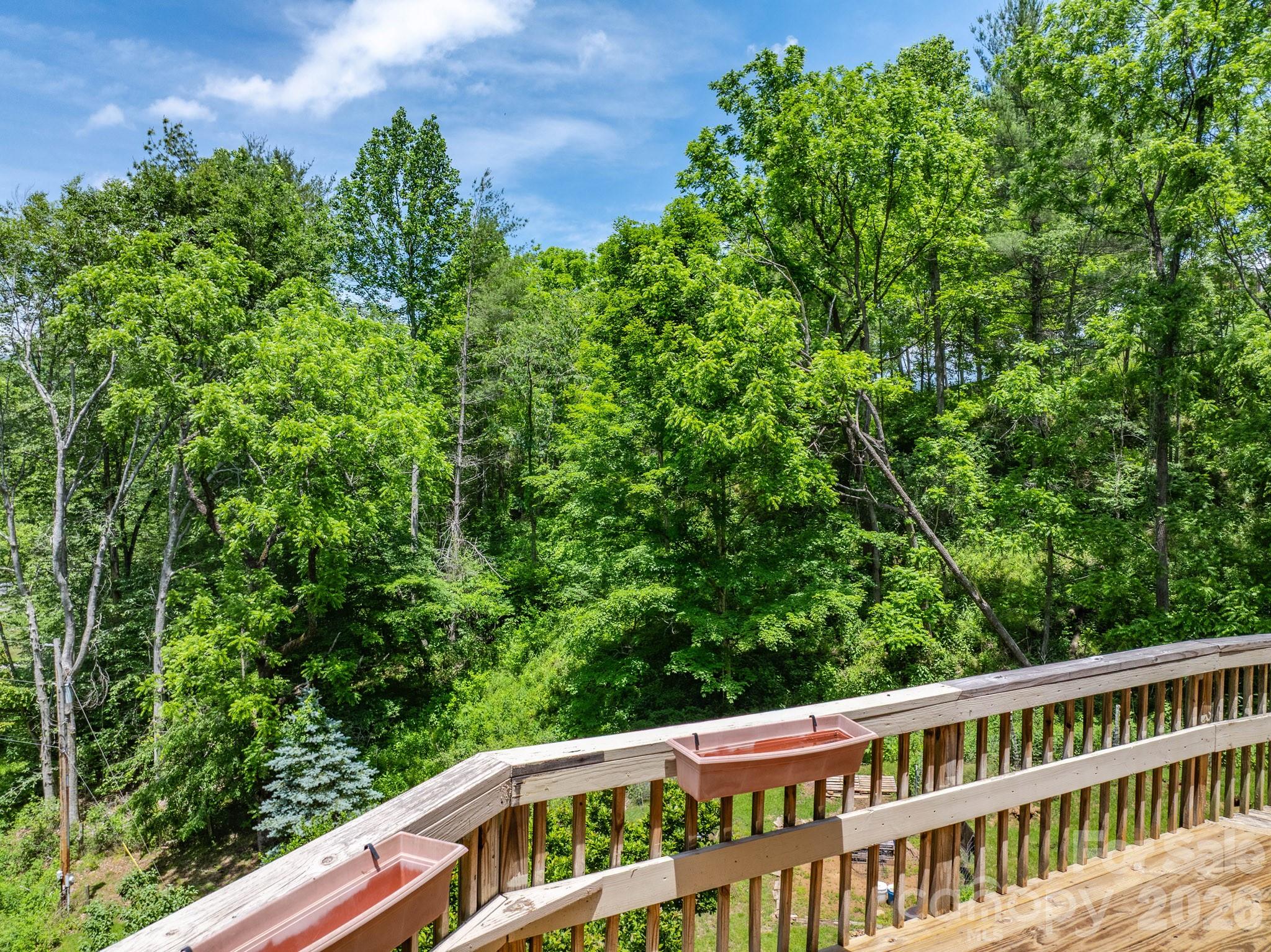295 Richmond Road Bakersville, NC 28705 - Photo 19 of 33