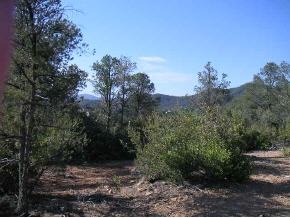 2103 Forest Mountain Road Prescott, AZ 86303 - Photo 1 of 1 Primary Photo