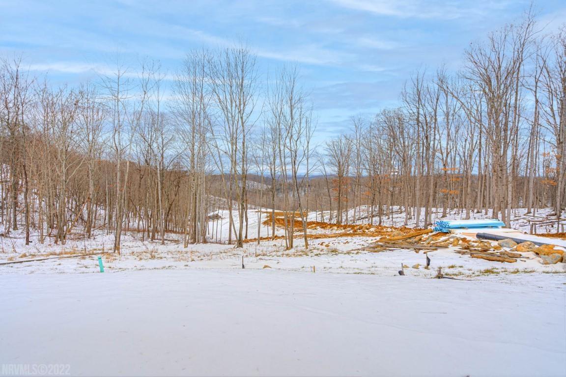 1332 Walnut Ridge Road Christiansburg, VA 24073 - Photo 44 of 47 Gallery Image 44