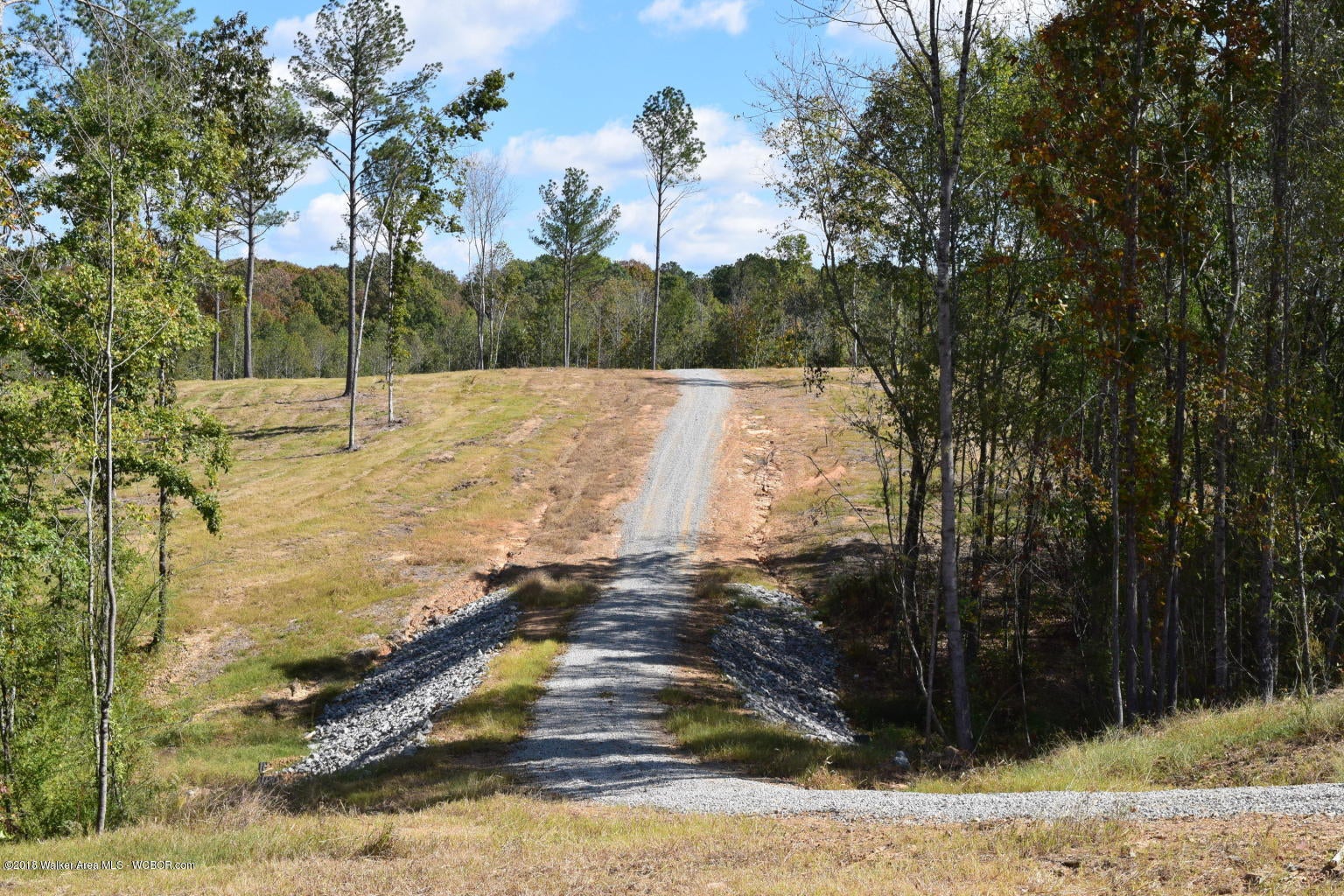 Gray Road Jasper, AL 35504 - Photo 3 of 7 Horse Crossing
