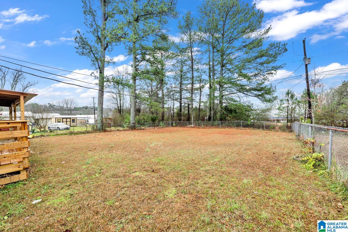 207 Ellen Street Oneonta, AL 35121 - Photo 4 of 23