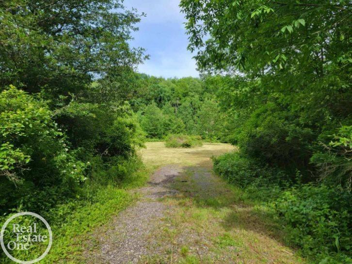 Vl Sheridan Road Emmett, MI 48022 - Photo 8 of 16