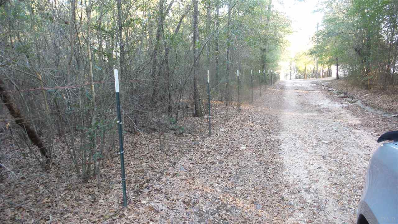 264 Rabbits Run Atmore, AL 36502 - Photo 8 of 29