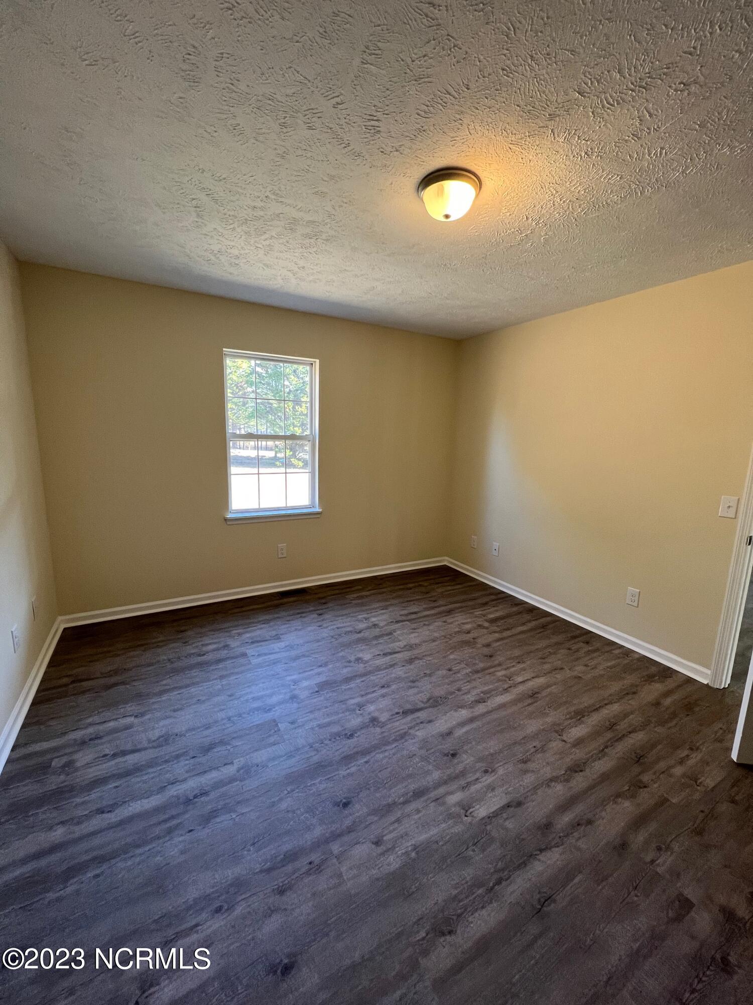 284 Wiregrass Road Rockingham, NC 28379 - Photo 13 of 22 IMG_0153