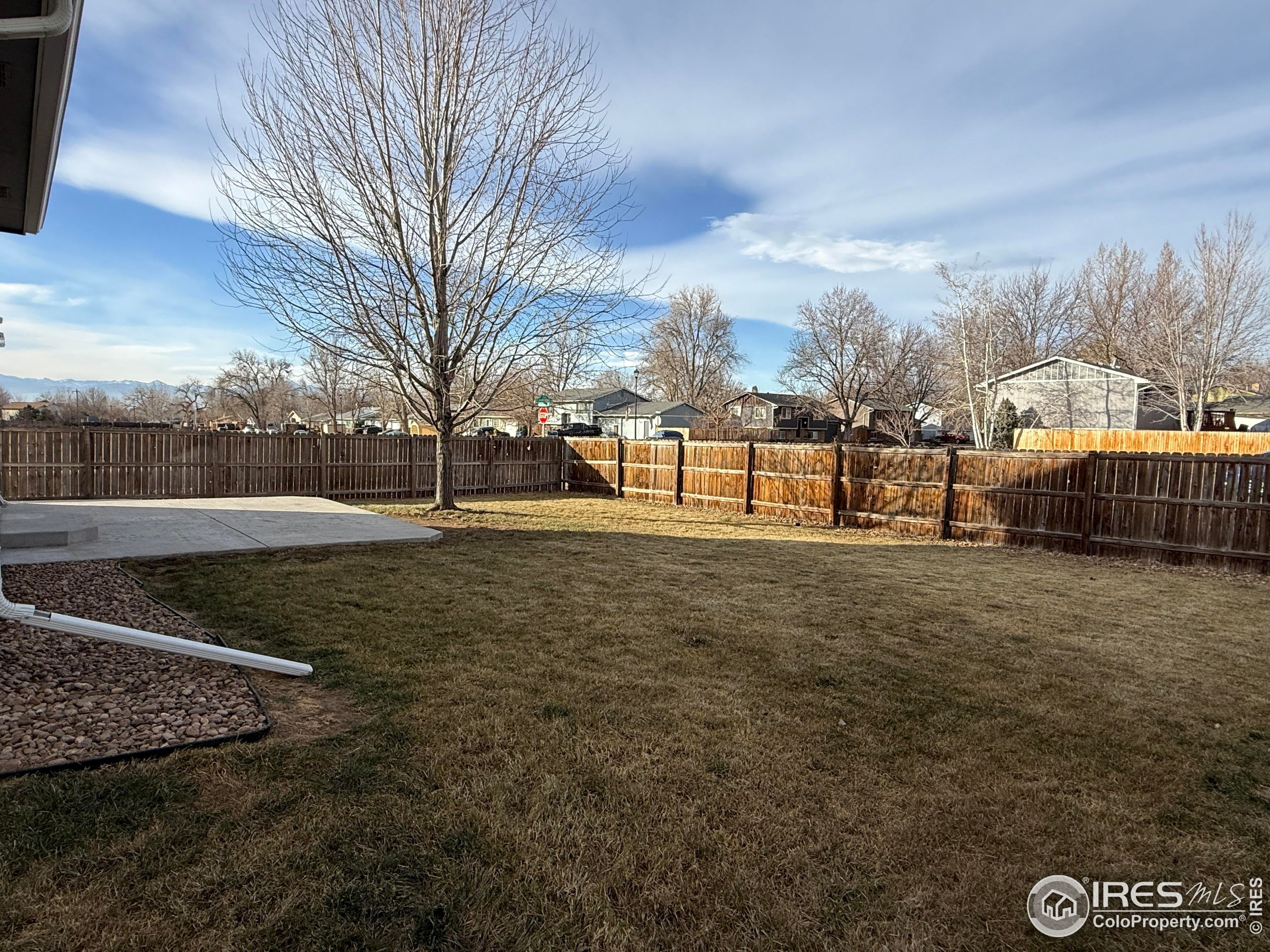 613 Sumac Street Frederick, CO 80530 - Photo 7 of 34