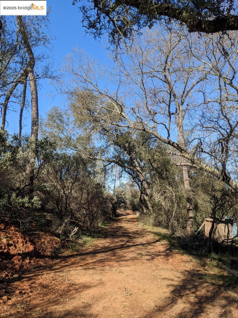 4095 Green Valley Road Rescue, CA 95672 - Photo 15 of 31 a view of yard covered with snow