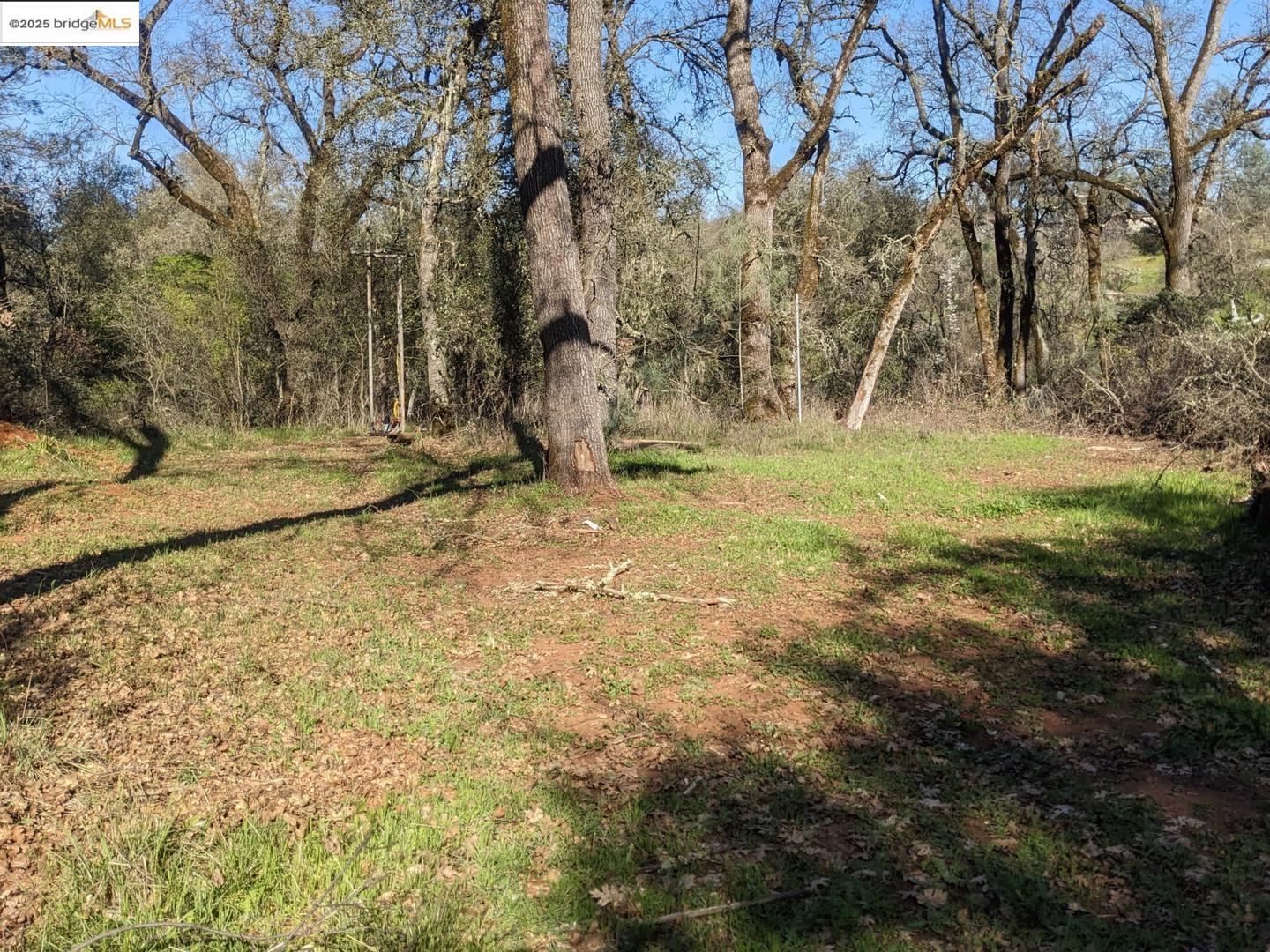 4095 Green Valley Road Rescue, CA 95672 - Photo 16 of 31 a backyard of a house with a trees