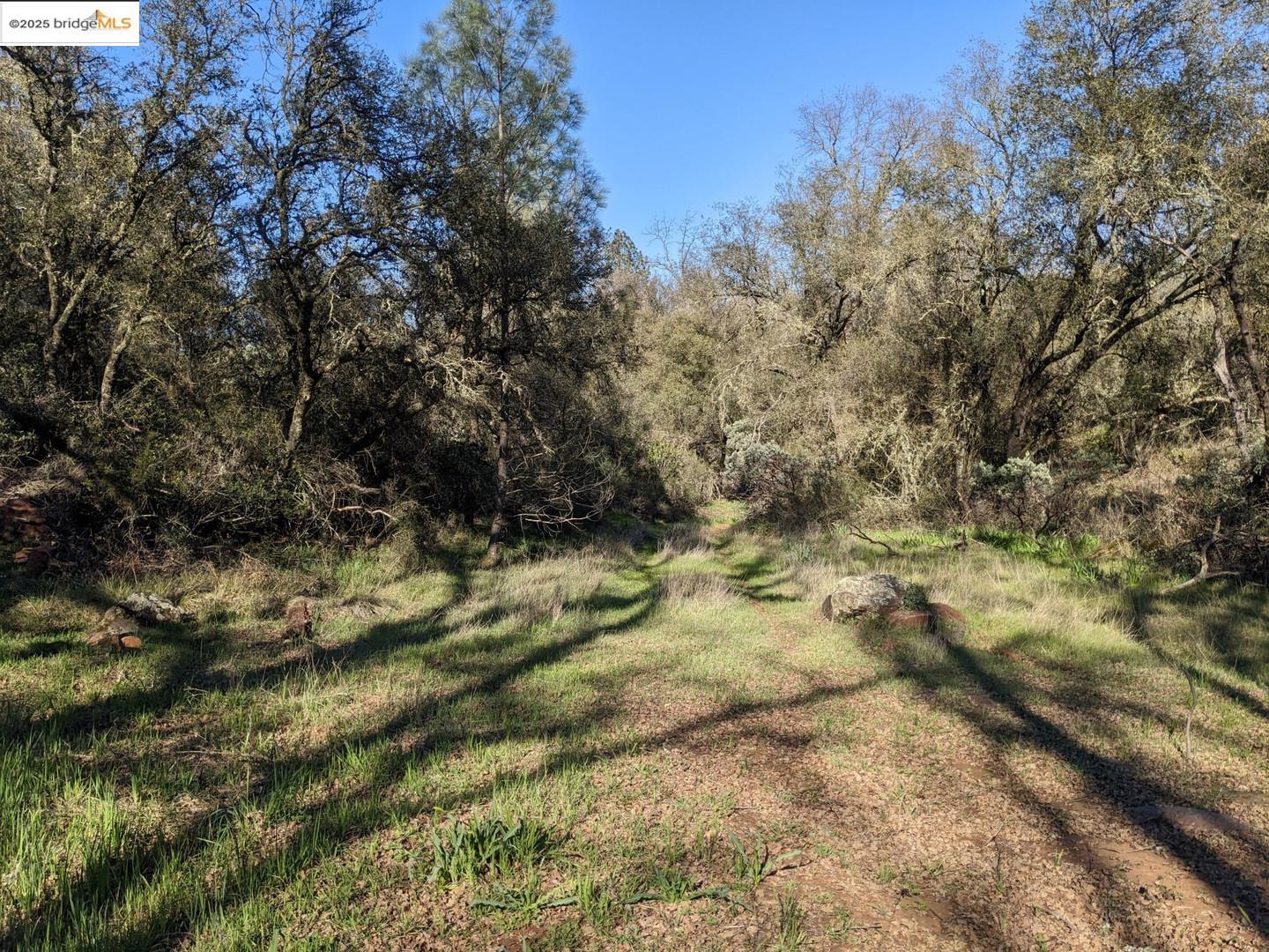 4095 Green Valley Road Rescue, CA 95672 - Photo 17 of 31 a view of a yard with a tree