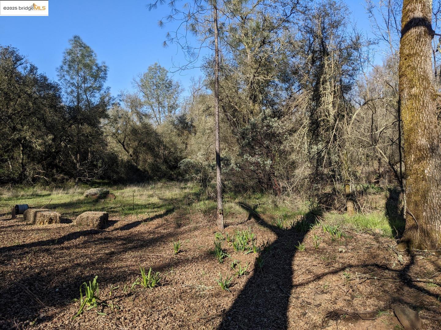 4095 Green Valley Road Rescue, CA 95672 - Photo 18 of 31 a backyard of a house with lots of green space