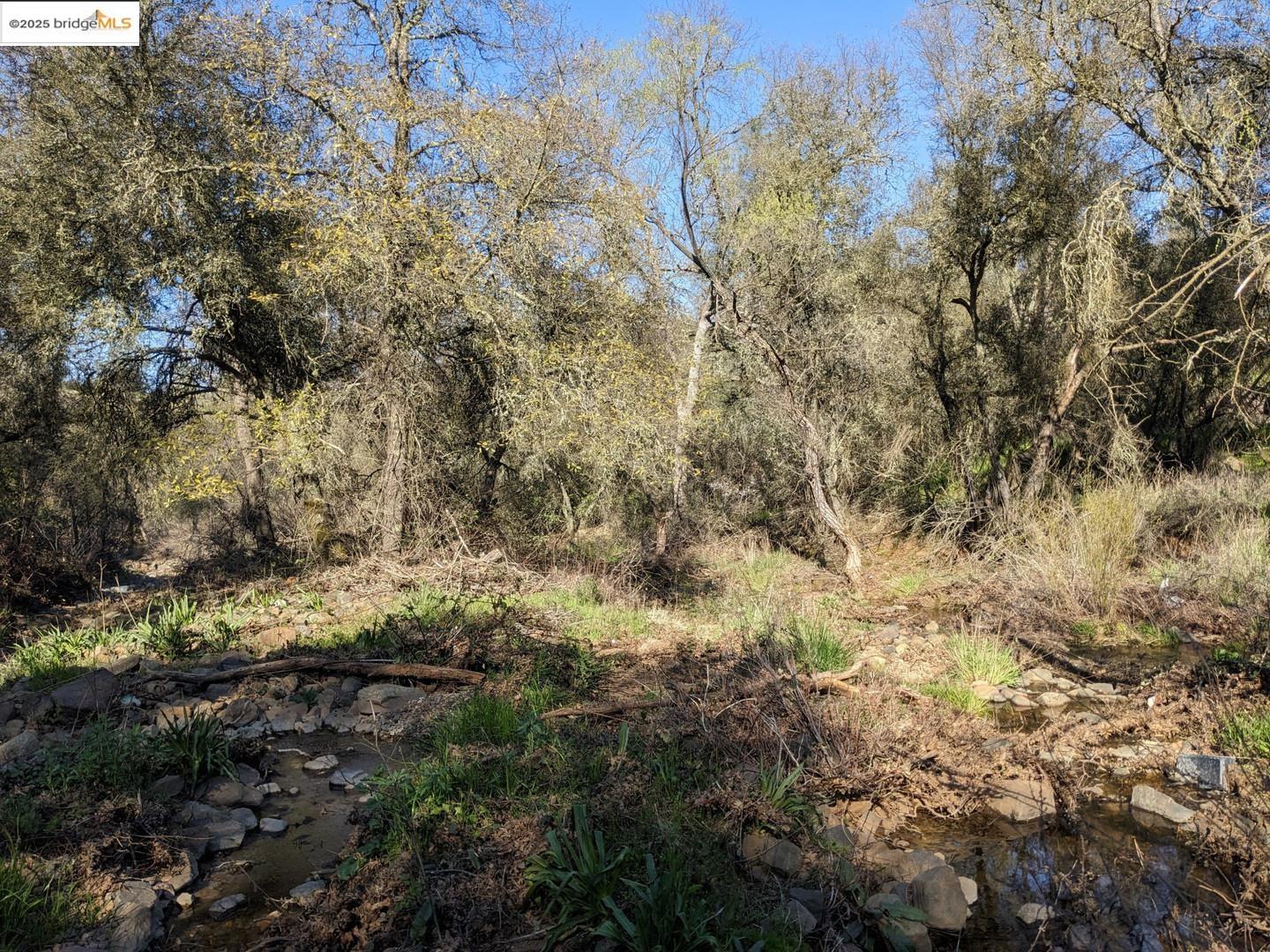 4095 Green Valley Road Rescue, CA 95672 - Photo 21 of 31 a view of a yard with large trees