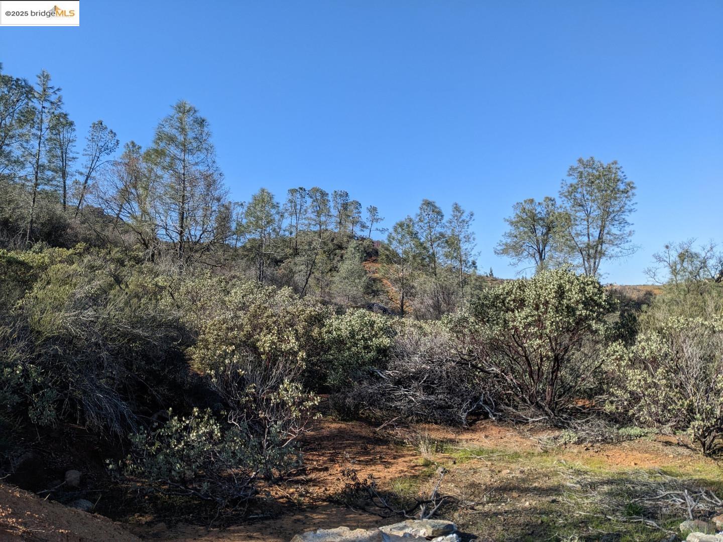 4095 Green Valley Road Rescue, CA 95672 - Photo 27 of 31 a view of a covered with trees in the background