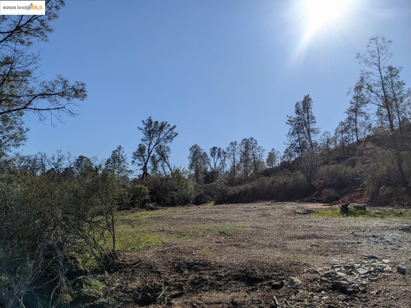 4095 Green Valley Road Rescue, CA 95672 - Photo 29 of 31 a view of a dry yard with trees