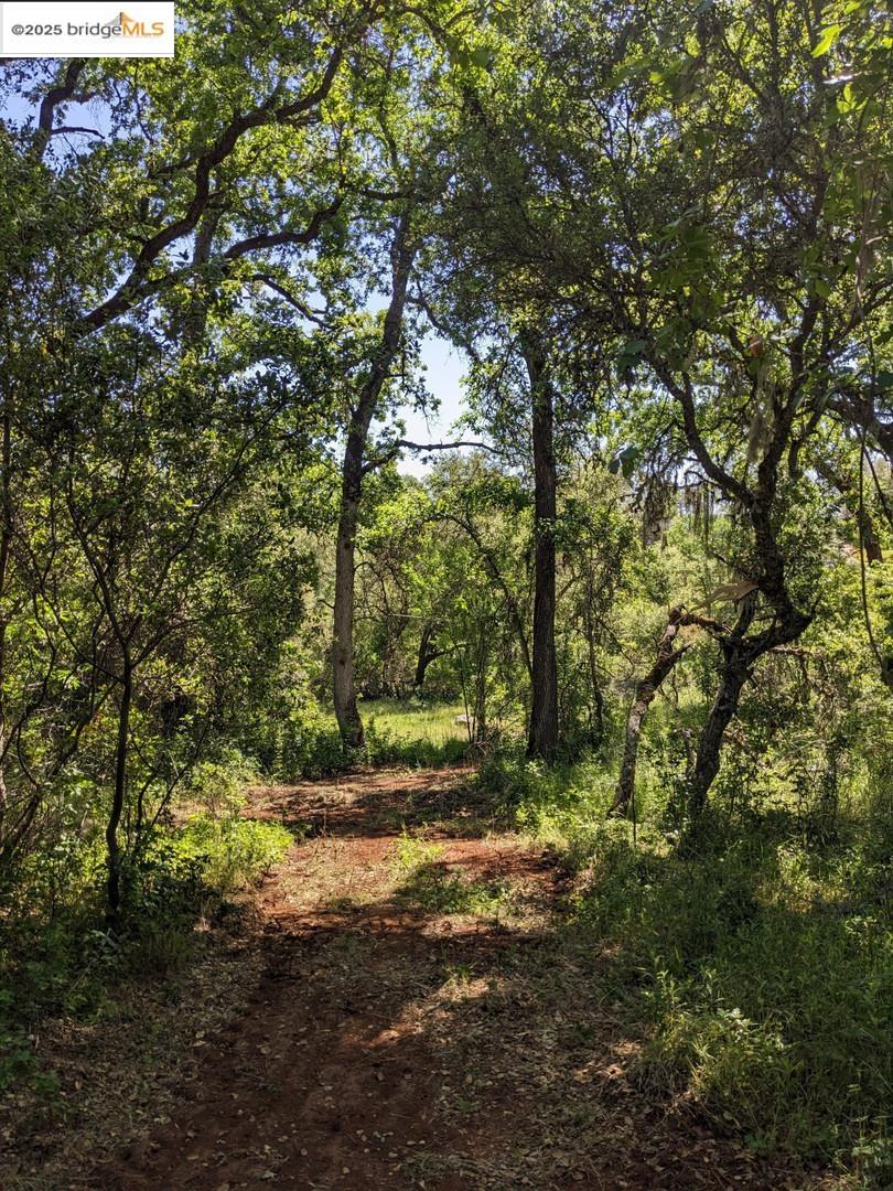 4095 Green Valley Road Rescue, CA 95672 - Photo 3 of 31 a view of outdoor space and yard