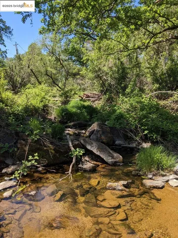 a view of outdoor space and tree