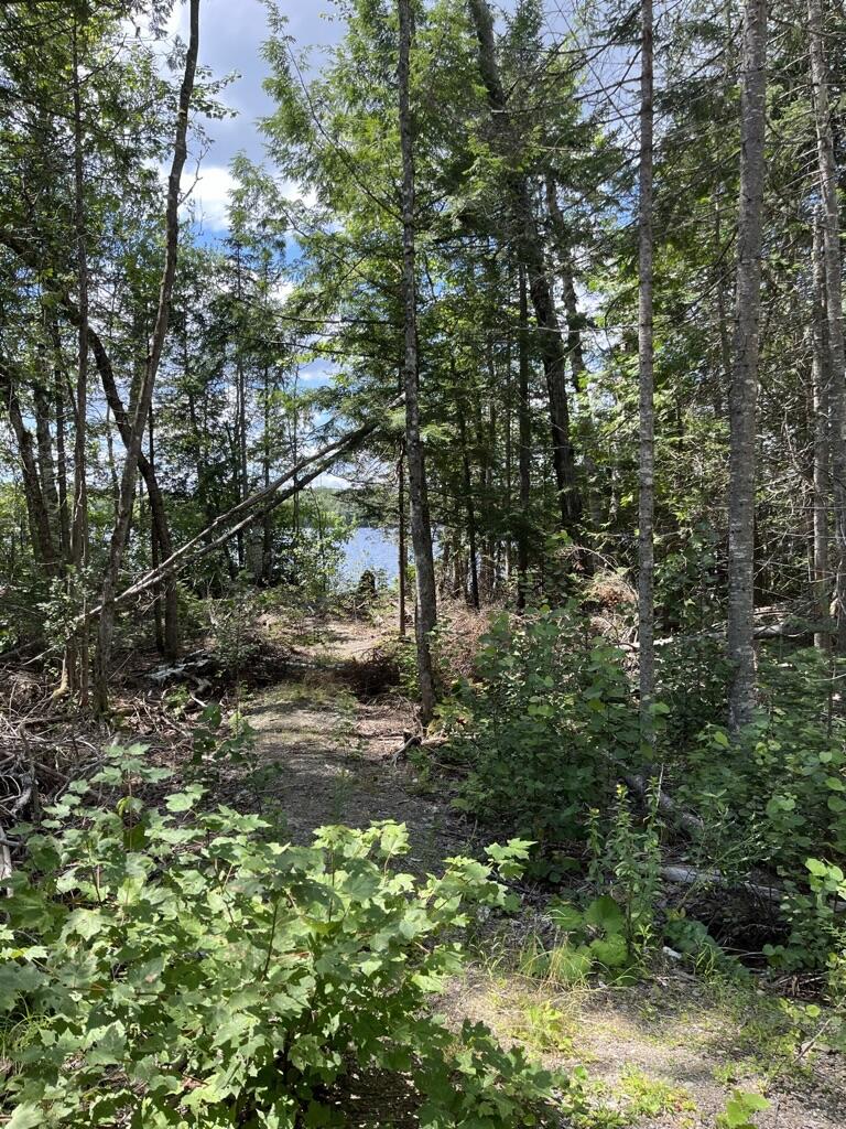 Lot 40 Woodland Ridge Road Danforth, ME 04424 - Photo 16 of 22 A2438623-42D7-4113-946D-E1D5D7357E98_1_1