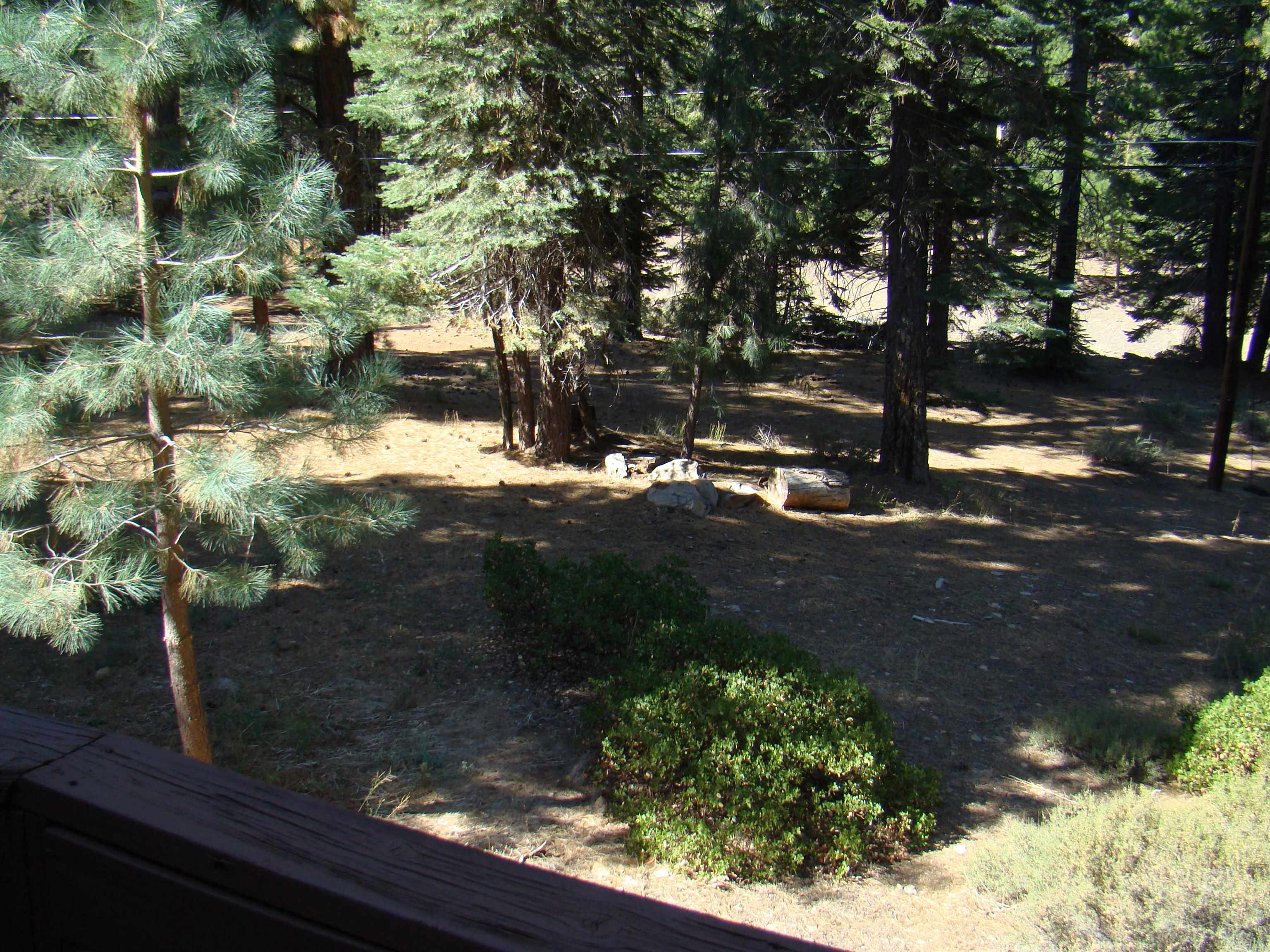12022 Pine Forest Road Truckee, CA 96161 - Photo 15 of 17 Back Yard