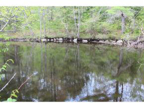 112 Newmarket Road Warner, NH 03278 - Photo 19 of 28 Gallery Image 19