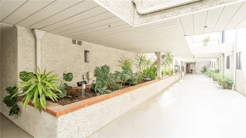 a potted plant sitting on the side of a building