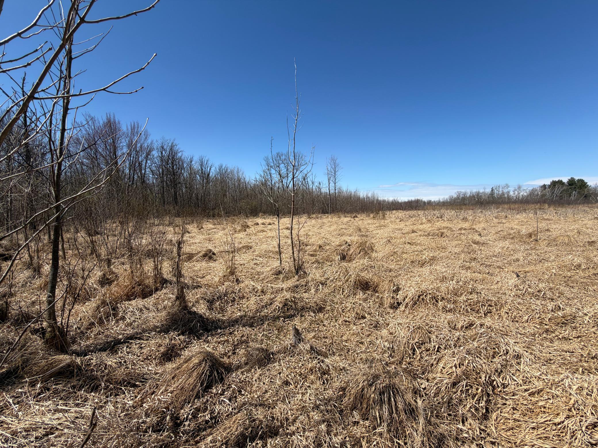 Tbd Tbd 62nd Street Southwest Staples, MN 56479 - Photo 15 of 68