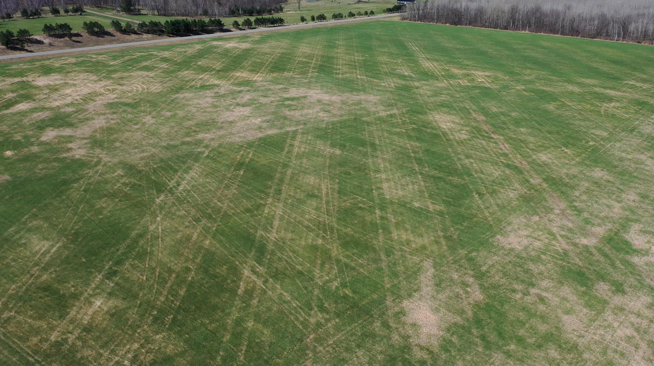 Tbd Tbd 62nd Street Southwest Staples, MN 56479 - Photo 23 of 68