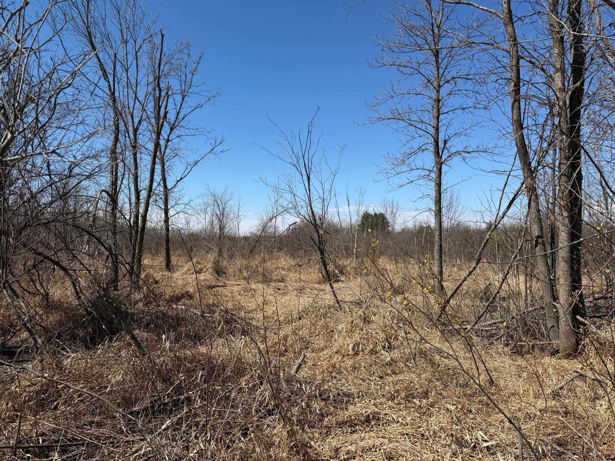 Tbd Tbd 62nd Street Southwest Staples, MN 56479 - Photo 24 of 68