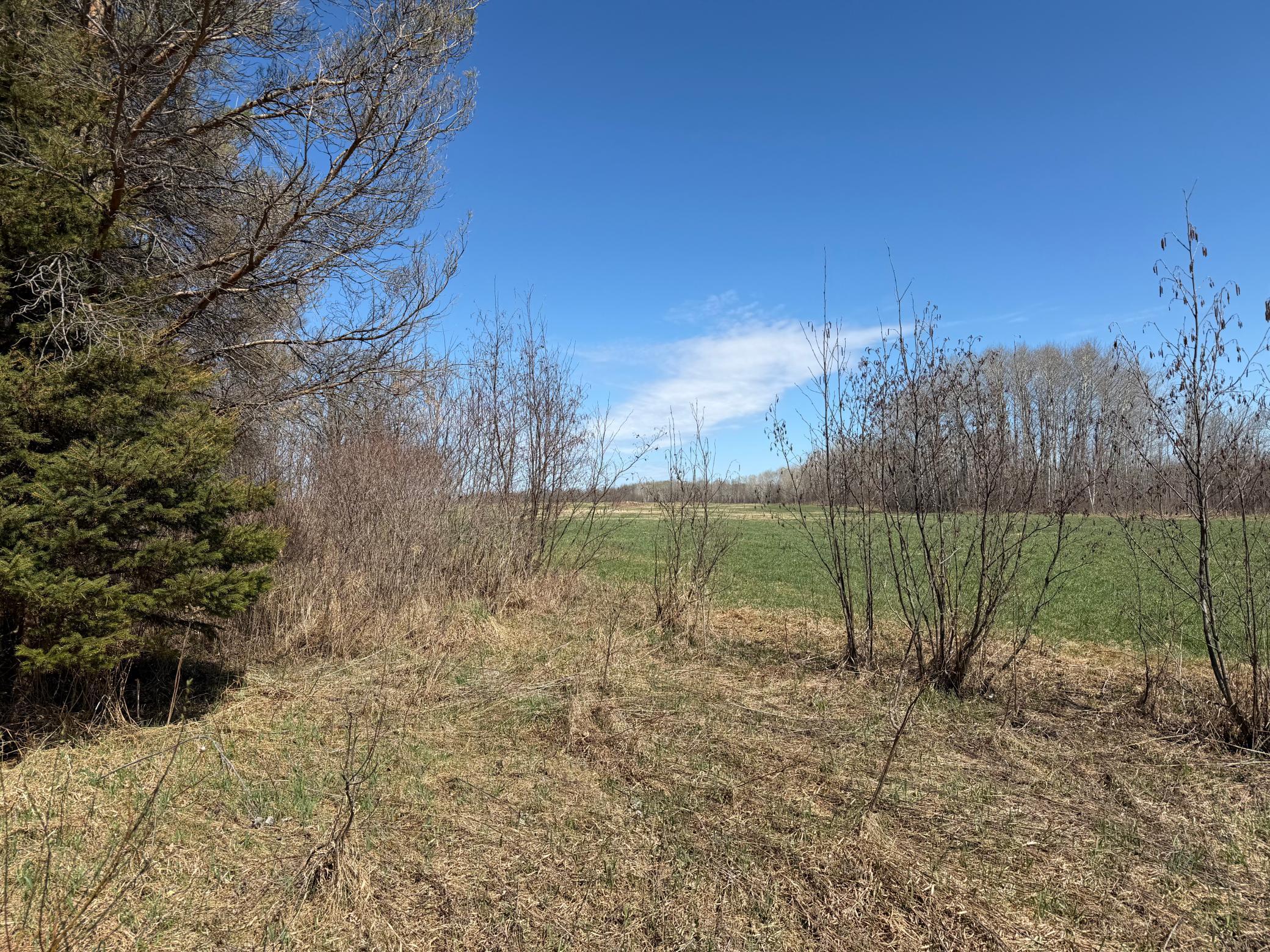 Tbd Tbd 62nd Street Southwest Staples, MN 56479 - Photo 25 of 68
