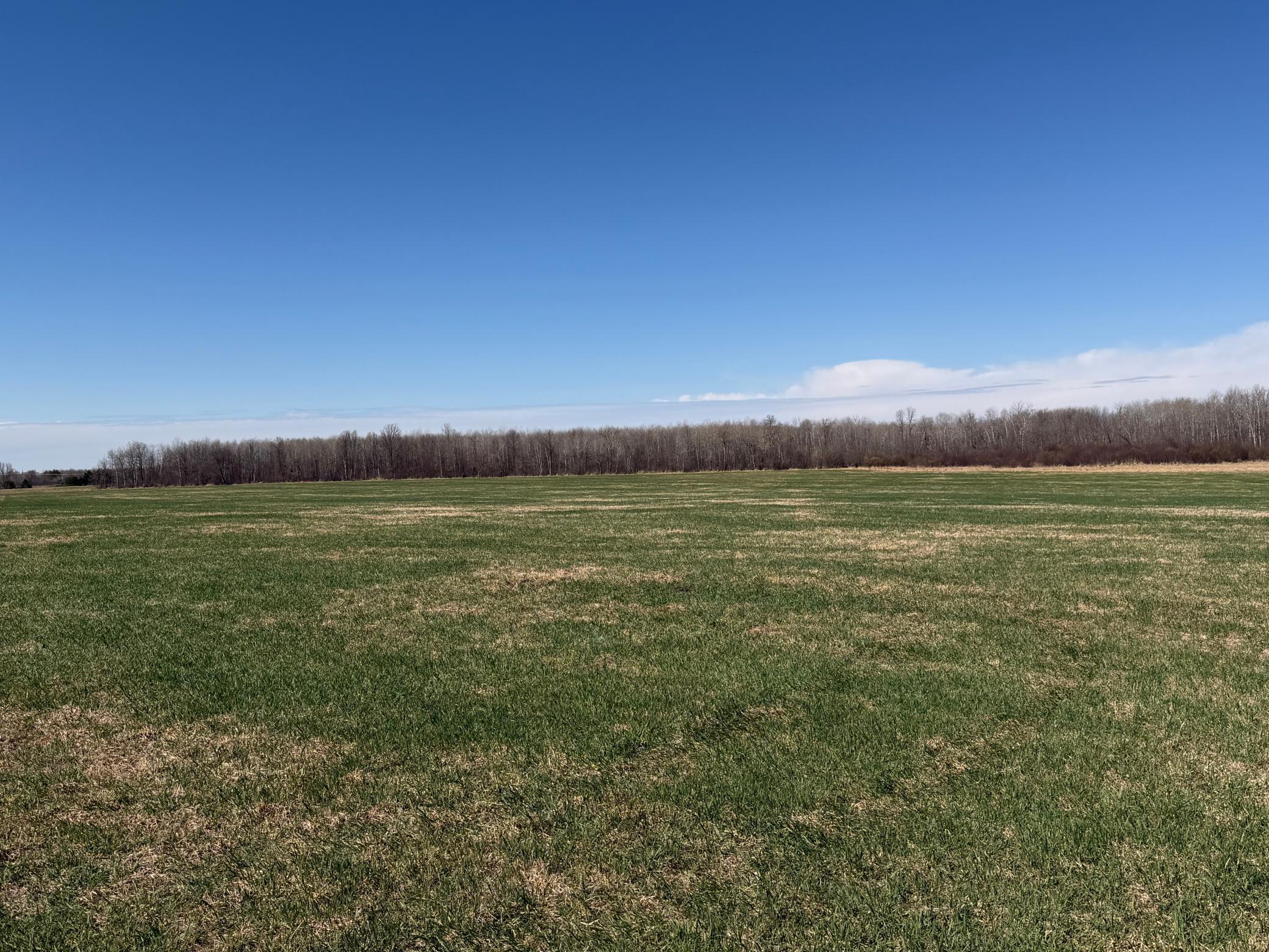 Tbd Tbd 62nd Street Southwest Staples, MN 56479 - Photo 35 of 68