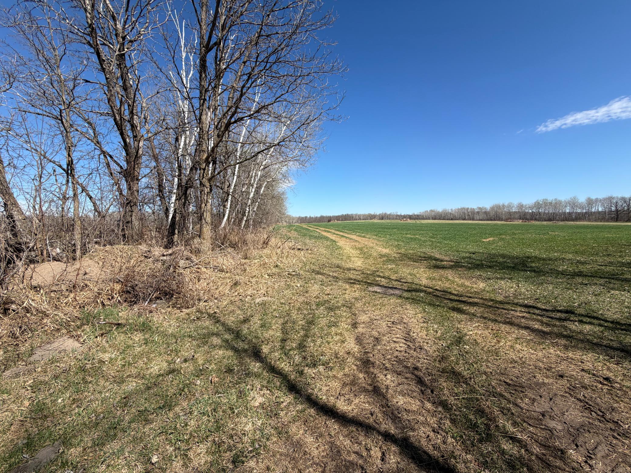 Tbd Tbd 62nd Street Southwest Staples, MN 56479 - Photo 37 of 68