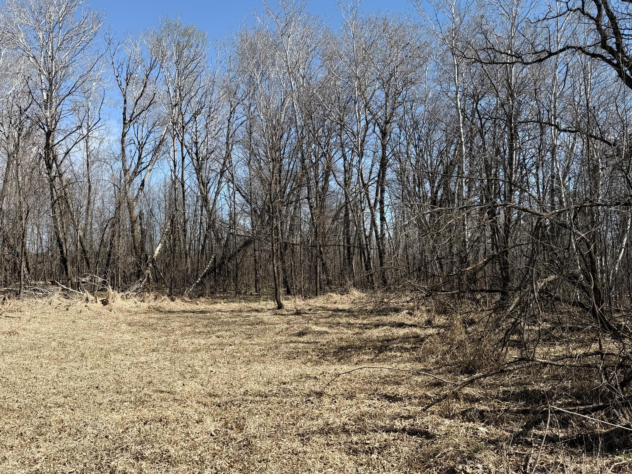 Tbd Tbd 62nd Street Southwest Staples, MN 56479 - Photo 40 of 68