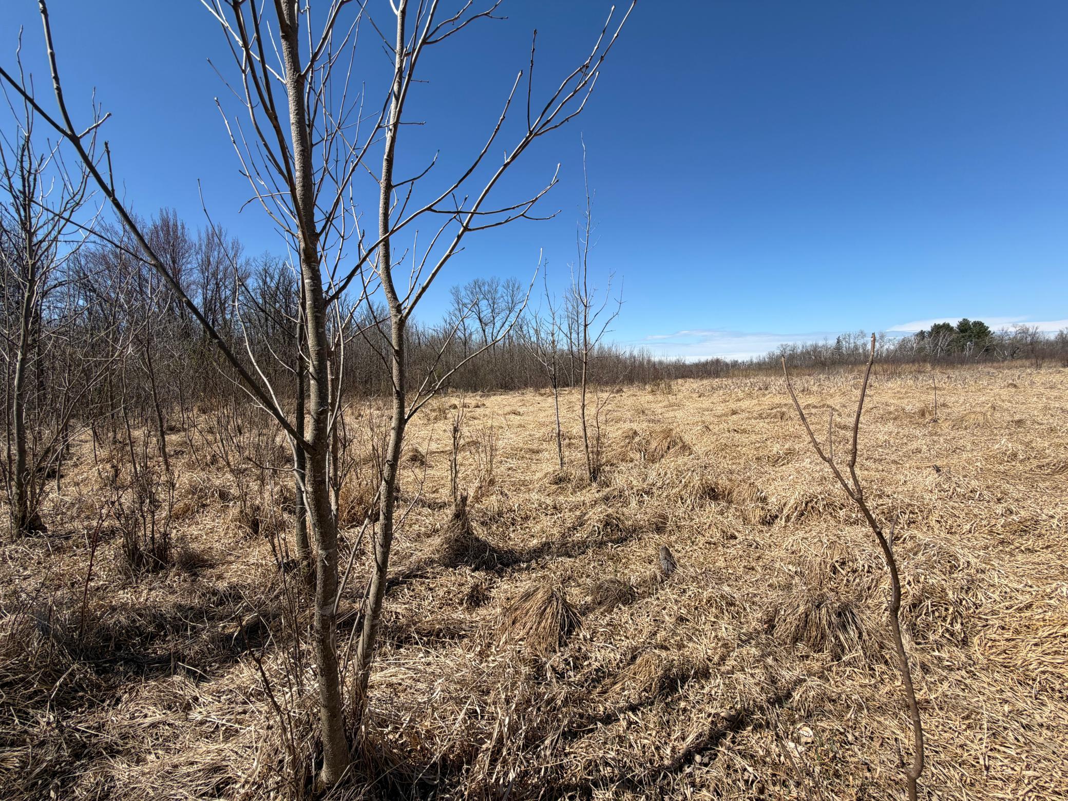 Tbd Tbd 62nd Street Southwest Staples, MN 56479 - Photo 57 of 68