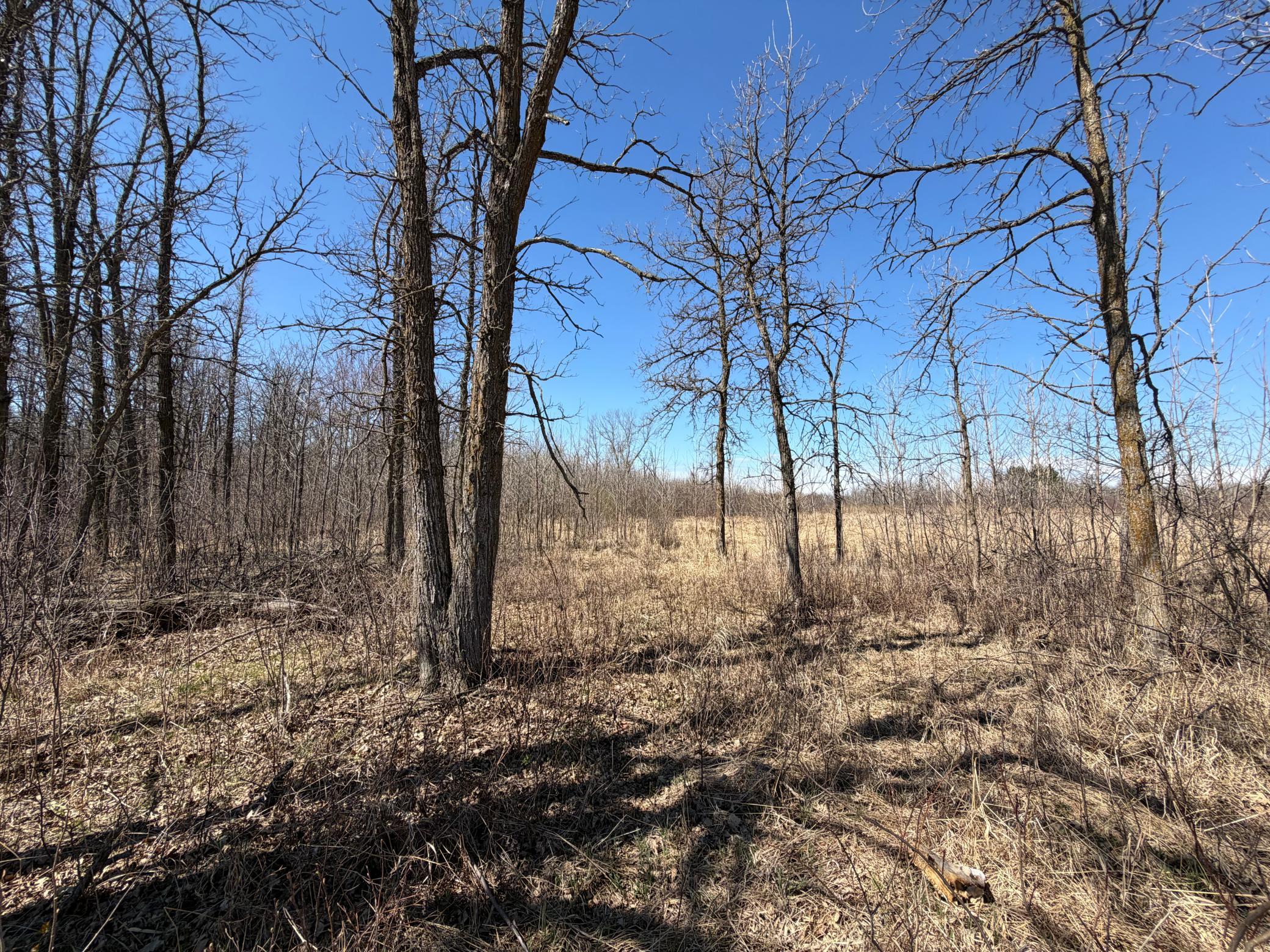 Tbd Tbd 62nd Street Southwest Staples, MN 56479 - Photo 59 of 68