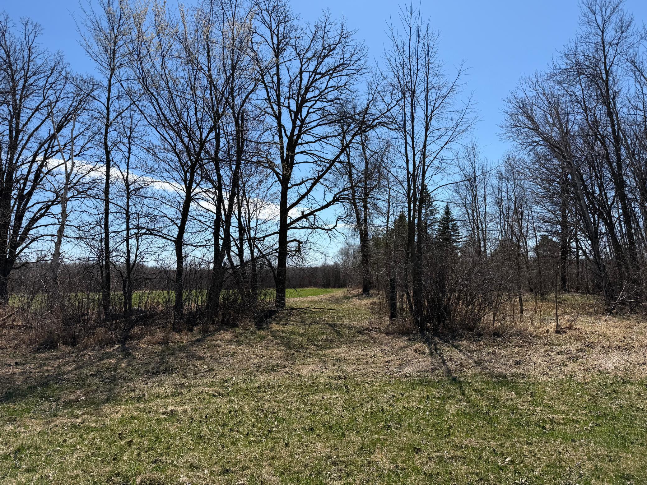 Tbd Tbd 62nd Street Southwest Staples, MN 56479 - Photo 6 of 68
