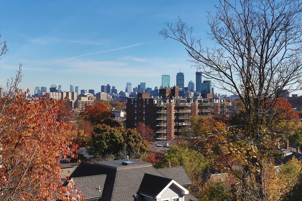 43 Summit Avenue, Unit 43 Brookline, MA 02446 - Photo 29 of 29