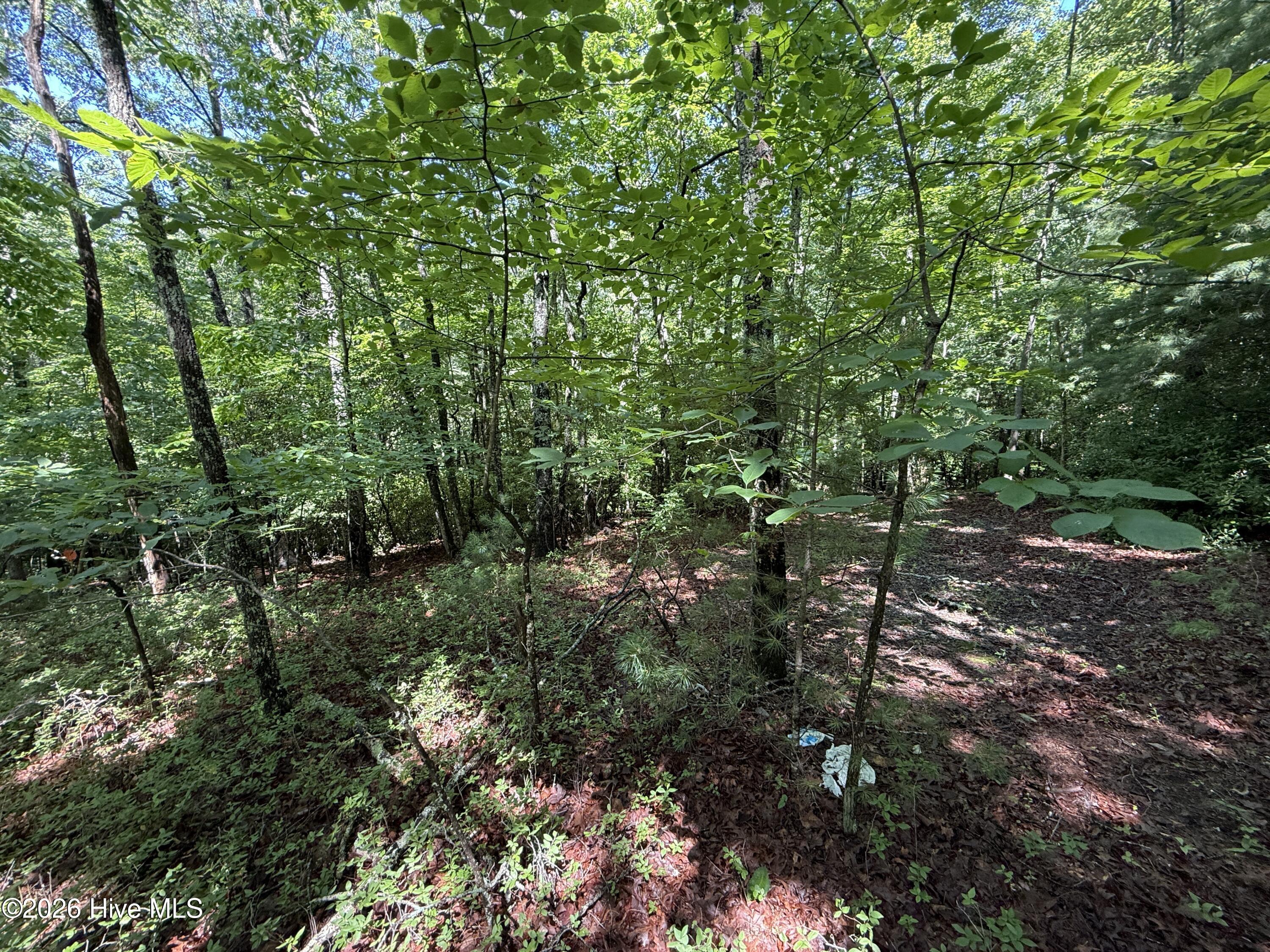81 Roberts Road Murphy, NC 28906 - Photo 6 of 9