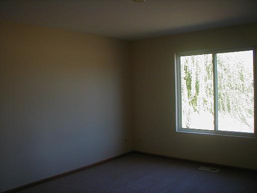 648 Chestnut Ridge, Unit 648 Minooka, IL 60447 - Photo 6 of 15 an empty room with a window