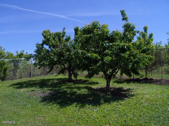 1040 Lombard Loop Road Wapato, WA 98951 - Photo 25 of 25 a view of a garden