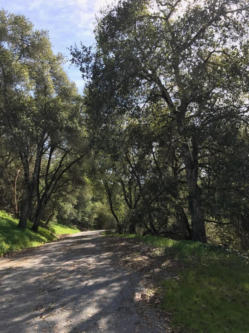 36 Merk Road Corralitos, CA 95076 - Photo 12 of 19 Gallery Image 12