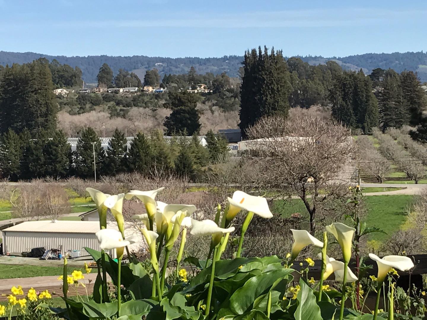 36 Merk Road Corralitos, CA 95076 - Photo 2 of 19 Gallery Image 2