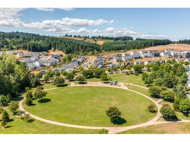 a view of a forest with a tree