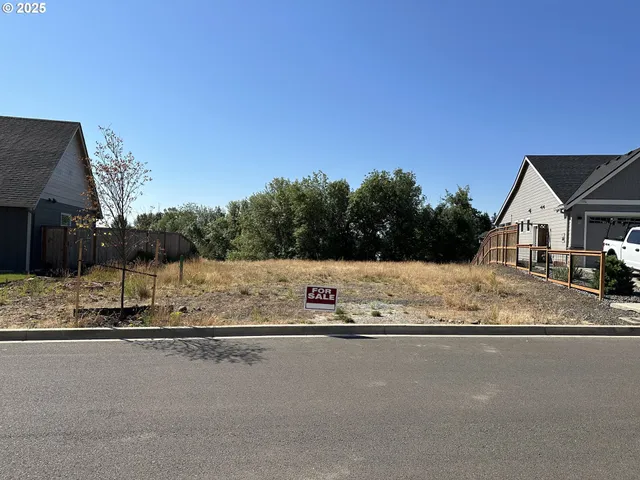a view of a pathway with a tree