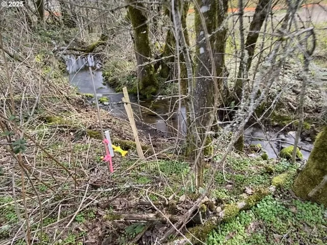 a black and white photo of a book